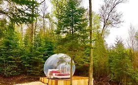 Bubble Tent